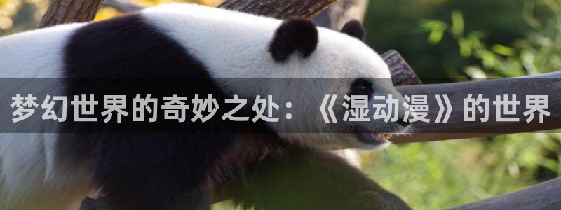 58动漫官网首页：梦幻世界的奇妙之处：《湿动漫》的世界