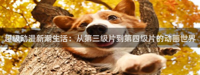 58动漫城：超级动漫新潮生活：从第三级片到第四级片的动画世界